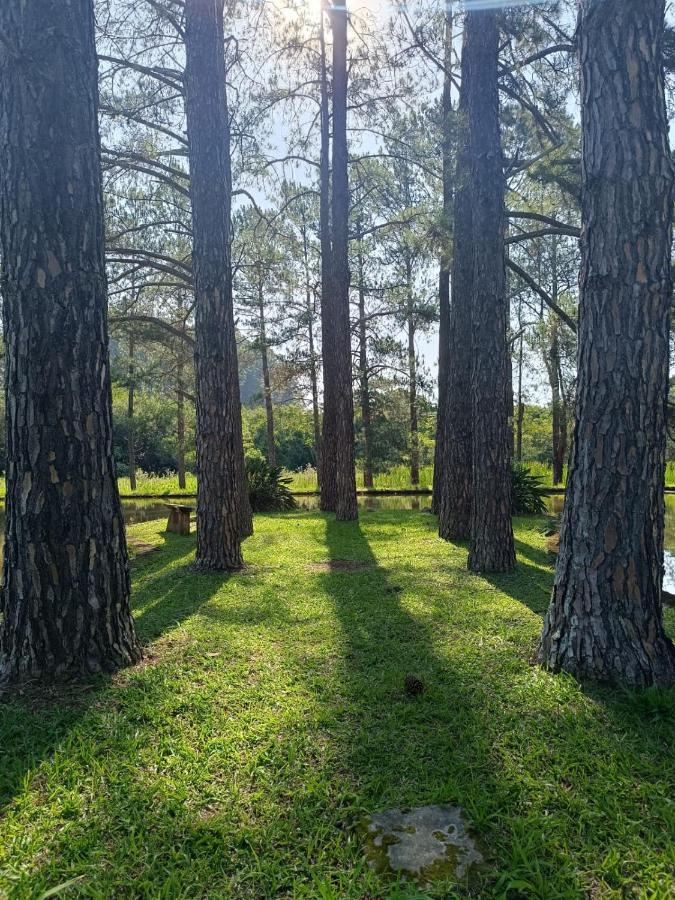Chacara Pinheirinho Villa Atibaia Exteriör bild